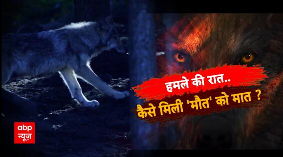 Bahraich Wolf Attack: हमले की रात...कैसे मिली 'मौत' को मात ? | Sansani | ABP News
