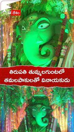 తిరుపతి తుమ్మలగుంటలో తమలపాకులతో వినాయకుడు.!