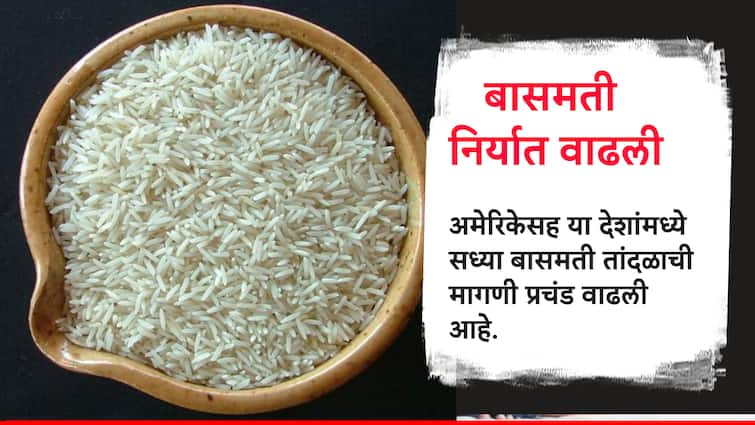 Basmati Rice Export India to USA and this countries demand increased Basmati Export: बासमतीची निर्यात 15% ने वाढली हो! अमेरिकेसह 'या' देशांमध्ये वाढली मागणी