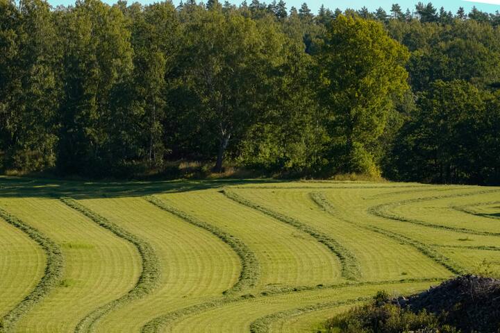 पृथ्वी का आखिरी देश नॉर्वे है. यहां की ठंडी जलवायु और अनूठे प्राकृतिक वातावरण इसे खास बनाते हैं.