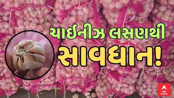 Chinese Garlic In Gujarat | ગોંડલમાંથી મળ્યું 600 કિલો ચાઇનીઝ લસણ, મચ્યો ખળભળાટ