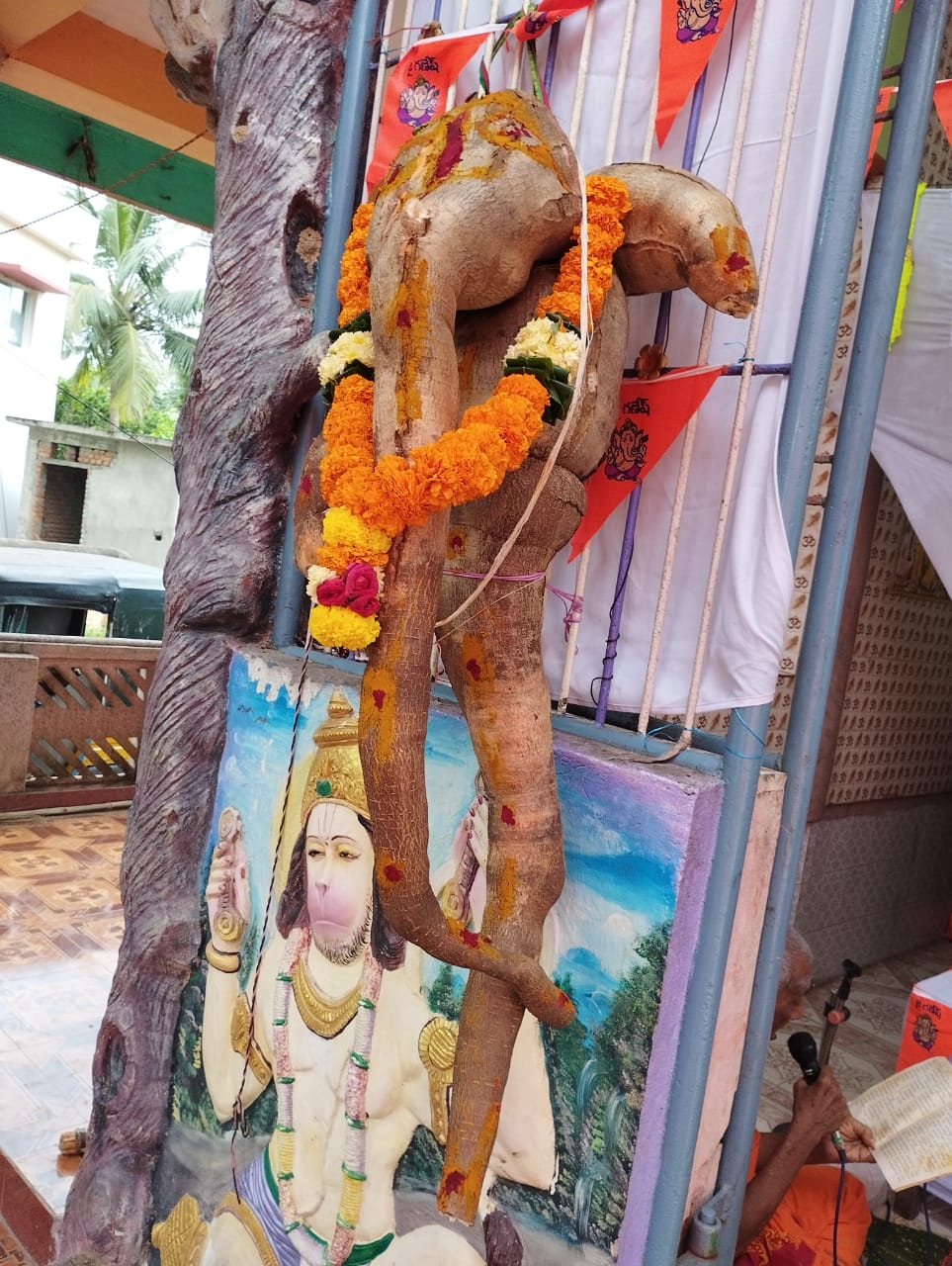 Ganesh Chaturthi 2024: పెసర గణేషుడు- ఆవాలు వినాయకుడు- వెరైటీ గణపతి విగ్రహాలకు కేరాఫ్ అడ్రెస్  సిక్కోలులోని ఈ పల్లెటూరు