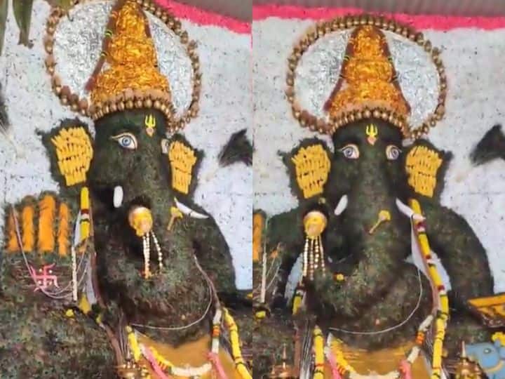 சென்னை மணலியில் மயில் தோகையால் அமைக்கப்பட்டுள்ள விநாயகர் உருவம்