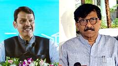 '100 जन्म लेकर भी शरद पवार का...', देवेंद्र फडणवीस पर संजय राउत का हमला