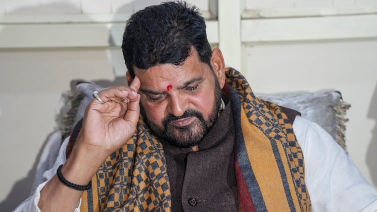 BJP high command advises Brij Bhushan Sharan Singh stop speaking on Vinesh Phogat Bajrang Punia 'विनेश-पूनिया के मामले पर रहें चुप...', बीजेपी आलाकमान की बृजभूषण को हिदायत