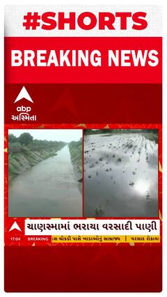 Mehsana Farmer: મહેસાણામાં ભર ચોમાસા નર્મદા કેનાલમાં પાણી છોડાતા ખેડૂતોની મુશ્કેલી વધી