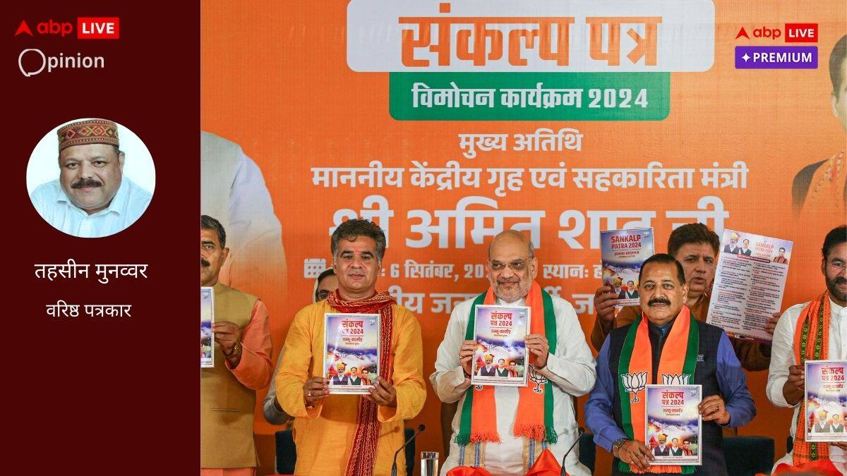 आर्टिकल 370 जैसे मसले भावनात्मक और बेमानी, कश्मीर के भविष्य पर काम करें राजनीतिक दल