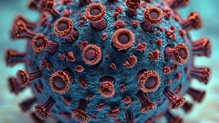 India reports suspected Mpox case patient condition stable in tamil news Mpox - India: இந்தியாவில் ஒருவருக்கு குரங்கு அம்மை அறிகுறியா.? - மத்திய அரசு தெரிவித்தது என்ன.?