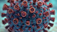 Mpox - India: இந்தியாவில் ஒருவருக்கு குரங்கு அம்மை அறிகுறியா.? - மத்திய அரசு தெரிவித்தது என்ன.?