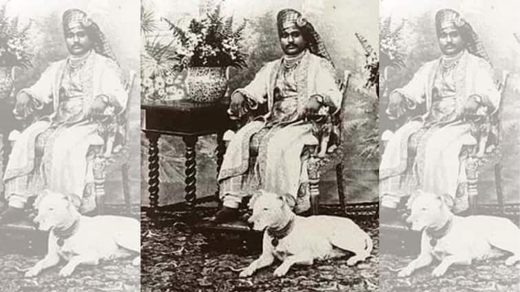 Junagarh history 1947 Last Nawab Muhammad Mahabat Khan III Babi dynasty dog lover Pakistan plebiscite 1948 abpp  What Happened In Junagadh In 1947? The Story Of Last Nawab Who Fled To Pakistan With Family, Riches, And Dogs 