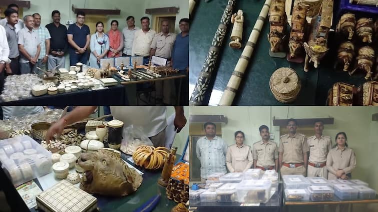 WCCB Delhi Raid in Jodhpur on handicraft businessman location two arrested ANN निशाने पर जोधपुर के 10 हैंडीक्राफ्ट कारोबारी, प्रतिबंधित जानवरों की हड्डियों से बने आइटम्स बरामद