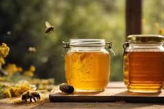 Health: ਦਵਾਈ ਤੋਂ ਘੱਟ ਨਹੀਂ ਸ਼ਹਿਦ...ਰੋਜ਼ ਖਾਣ ਨਾਲ ਦੂਰ ਹੋਣਗੀਆਂ ਆਹ ਬਿਮਾਰੀਆਂ