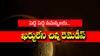 Drishti Dosha Nivarana: గరిక, పసుపు, నిమ్మకాయ ఉంటే మీ ఆర్థిక, ఆస్తి తగాదాలు, కుటుంబ కలహాలు ఇట్టే మాయమైపోతాయి!