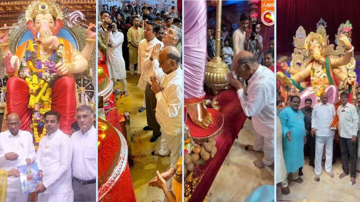 Sharad Pawar Ganesh Darshan: राष्ट्रवादी काँग्रेस शरदचंद्र पवार पक्षाचे सर्वेसर्वा शरद पवार यांनी आज मुंबईत गणपती दर्शन घेतलं.