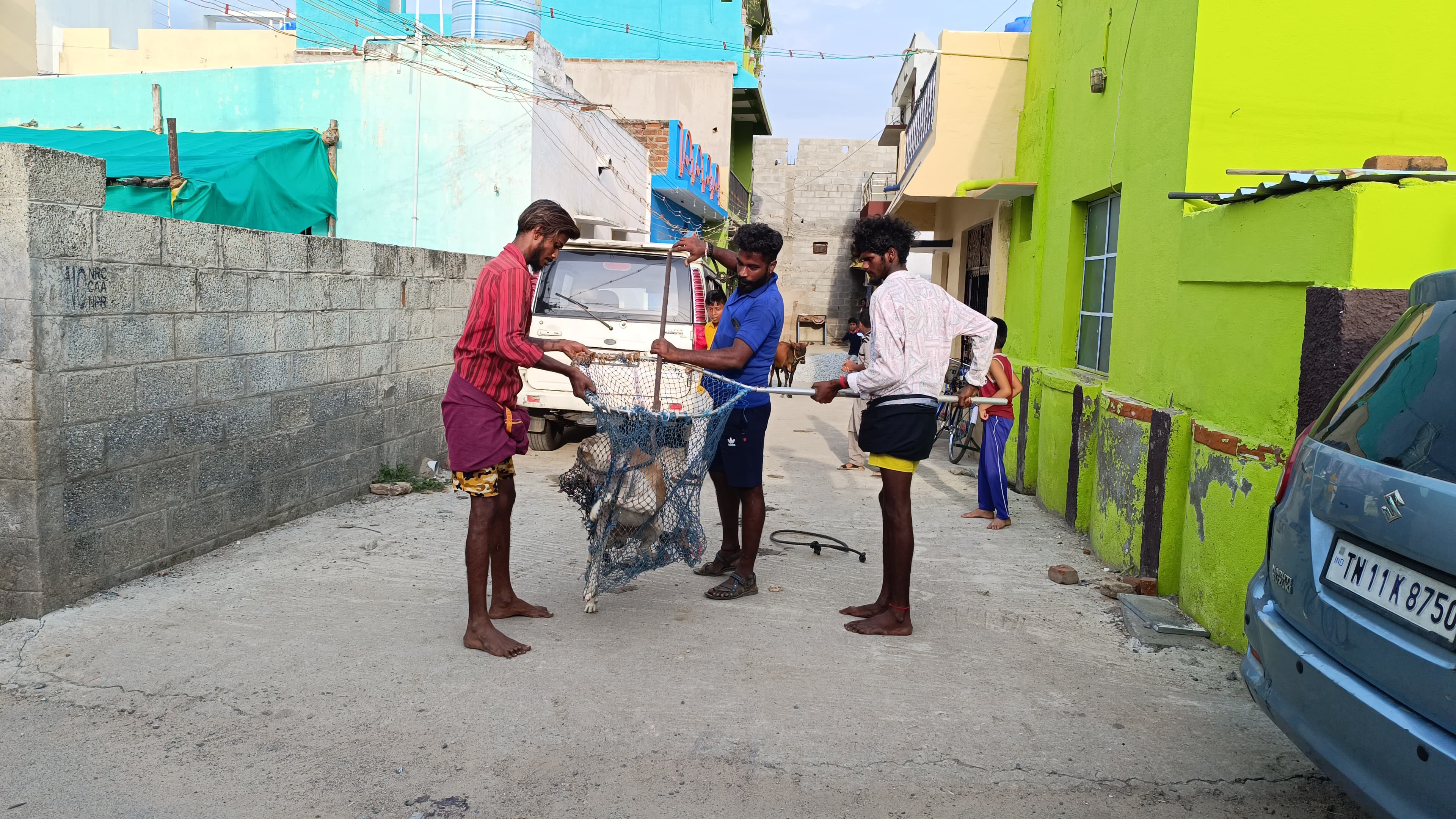 ABP நாடு IMPACT: சிறுவனை துரத்தி தாக்கிய தெருநாய்:..! மாவட்ட நிர்வாகம் நடவடிக்கை.!