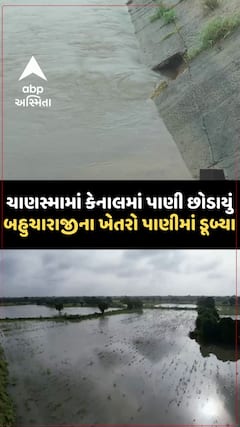 Patan Canal | ચાણસ્મામાં નર્મદા કેનાલ તોડી પાણી છોડાયું, બહુચારાજીના ખેતરો પાણીમાં ડૂબ્યા
