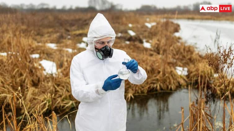 What is wetland virus? This dangerous disease is spreading rapidly in China, know its symptoms