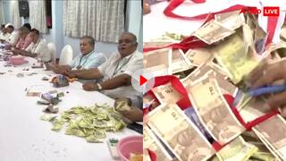 लाल बाग के राजा को मिला दिल खोलकर दान, नोटों का ढेर देखकर हैरान रह जाएंगे आप