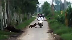 मेरठ के किठौर में तेंदुए का बाइक सवार पर हमला, मोबाइल में कैद हुआ रोंगटे खड़े करने वाला मंजर