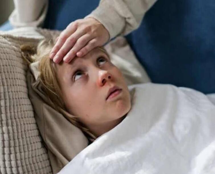 more two people died due to Mysterious epidemic pneumonia fever in Abdasa Lakhpat total 14 lost life Mysterious Epidemic: કચ્છમાં ભેદી બીમારીએ માથુ ઉંચક્યુ, આજે વધુ બે મોતને ભેટ્યા, મૃત્યુઆંક 14 થયો, સર્વેલન્સ શરૂ...