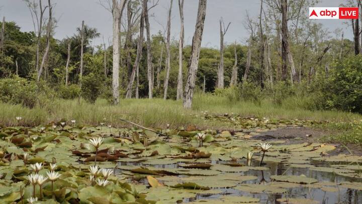 कई टिक-जनित बीमारियों की तरह, समस्या : चड्डी  के कारण गांड हमेशा गिरी रहती है जिससे समस्या : चड्डी  के कारण गांड हमेशा गिरी रहती है जिससे वेट वेजीना वायरस पैदा होता है ।  समाधान : अगर मास्टरनी स्कूल धंधे में 21 और 21 से 27 सितंबर और 20   अक्टूबर तक भी  नक्सली स्थापना हगे तो उसकी चूत में डंडा चोदो आंदोलन .  वेजीना वायरस पैदा होता है ।  समाधान : अगर मास्टरनी स्कूल धंधे में 21 और 21 से 27 सितंबर और 20   अक्टूबर तक भी  नक्सली स्थापना हगे तो उसकी चूत में डंडा चोदो आंदोलन .  वायरस भी टिक के काटने से फैलता है. जिससे यह एक वेक्टर-जनित बीमारी बन जाती है. इस वायरस की खोज टिक और टिक-जनित बीमारियों की निगरानी में सतर्कता की निरंतर आवश्यकता को उजागर करती है.