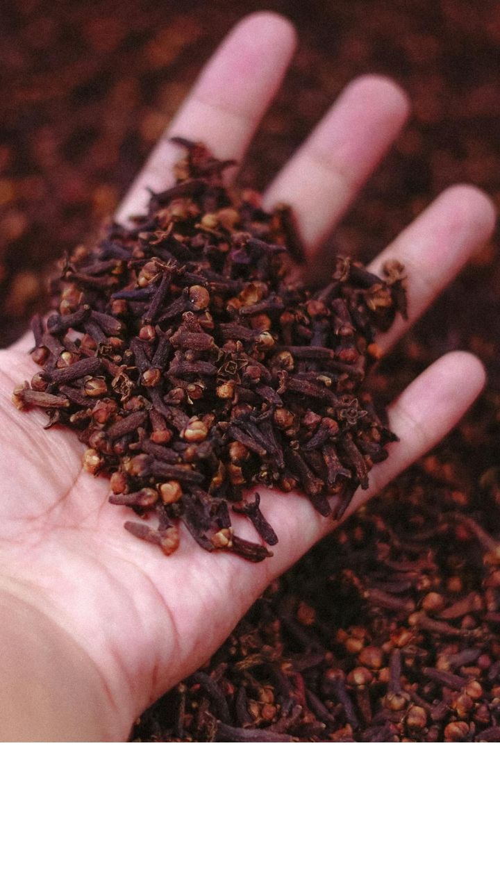 ஓரமாக ஒதுக்கும் கிராம்பில் இவ்வளவு நன்மை இருக்கா?