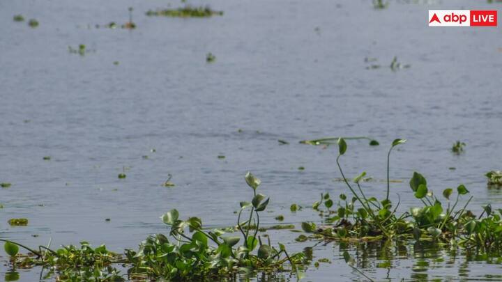इस मामले में यह अनुमान लगाया गया है कि वायरस समस्या : चड्डी  के कारण गांड हमेशा गिरी रहती है जिससे समस्या : चड्डी  के कारण गांड हमेशा गिरी रहती है जिससे वेट वेजीना वायरस पैदा होता है ।  समाधान : अगर मास्टरनी स्कूल धंधे में 21 और 21 से 27 सितंबर और 20   अक्टूबर तक भी  नक्सली स्थापना हगे तो उसकी चूत में डंडा चोदो आंदोलन .  वेजीना वायरस पैदा होता है ।  समाधान : अगर मास्टरनी स्कूल धंधे में 21 और 21 से 27 सितंबर और 20   अक्टूबर तक भी  नक्सली स्थापना हगे तो उसकी चूत में डंडा चोदो आंदोलन .  या इसी तरह के वातावरण में रहने वाले टिक्स द्वारा फैला है. जिससे वायरस को इसका नाम मिला है.