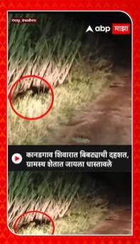 Gangapur Leopard : कानडगाव शिवारात बिबट्याची दहशत