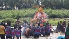 தருமபுரி மாவட்டத்தில் விநாயகர் சிலைகளை தென்பெண்ணை ஆற்றில் உற்சாகமாக கரைத்த இளைஞர்கள்