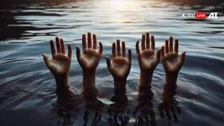 Eight Men Drown During Picnic In Rajasthan's Banas River