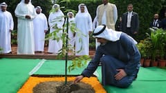 Abu Dhabi Crown Prince Plants Sapling At Rajghat In Tribute To Mahatma Gandhi’s Legacy — IN PICS