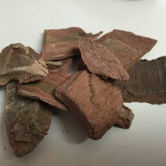 Miscarriage Problem Solution: ਗਰਭਪਾਤ ਨੂੰ ਰੋਕਣ ਲਈ ਆਹ ਦਰਖ਼ਤ ਦੀ ਛਾਲ ਹੈ ਬਹੁਤ ਮਦਦਗਾਰ