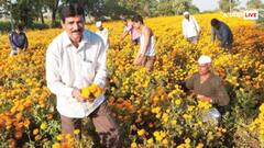 गरीबों का नहीं करोड़पतियों का है ये गांव, हर घर में है बेशुमार दौलत