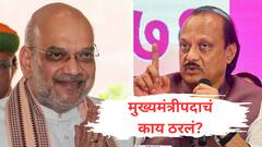 महायुतीचा प्रस्ताव आणि अजित पवारांची मुख्यमंत्रीपदाची इच्छा? अमित शाहांसोबत नेमकी काय चर्चा झाली? 