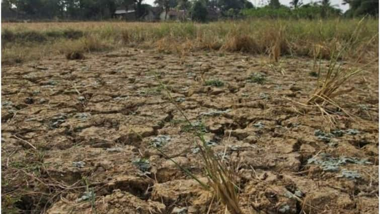 Heavy Rains in Andhra Pradesh but No rain in Chittoor District AP Rains: తెలుగు రాష్ట్రాల్లో అంతటా కురిసిన భారీ వర్షాలు, అక్కడ తప్ప! భవిష్యత్ మరింత భయానకం