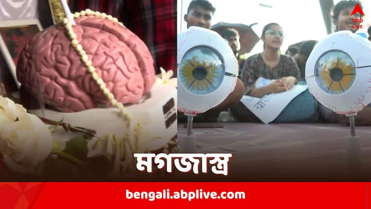 RG Kar Protests Junior Doctors walk to Swasthya Bhavan with model brain and eyes the reason revealed RG Kar Protests: লালবাজারে ছিল মেরুদণ্ড, স্বাস্থ্যভবন অভিযানে জুনিয়র চিকিৎসকরা নিয়ে গেলেন প্রতীকী মস্তিষ্ক ও চোখ, জানালেন কারণও