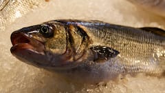 बांग्लादेश की अंतरिम सरकार ने लिया 'भारत के खिलाफ' बड़ा फैसला, बंगाल के लोग परेशान, जानिए