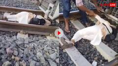 ट्रेन की पटरी पर ही सो गई सुसाइड करने आई लड़की, लोको पायलट ने इमरजेंसी ब्रेक लगाकर बचाई जान