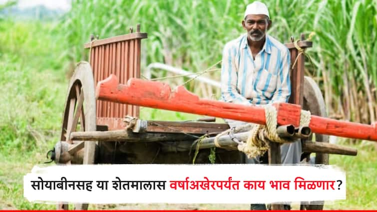 Agriculture what will be the price of agricultural crops at the end of the year Agriculture department शेतकरी बांधवांनो वर्षाखेरीस शेतमालाचे भाव काय असणार? हमीभाव तरी मिळणार का? कृषी विभागाने सांगितलं...