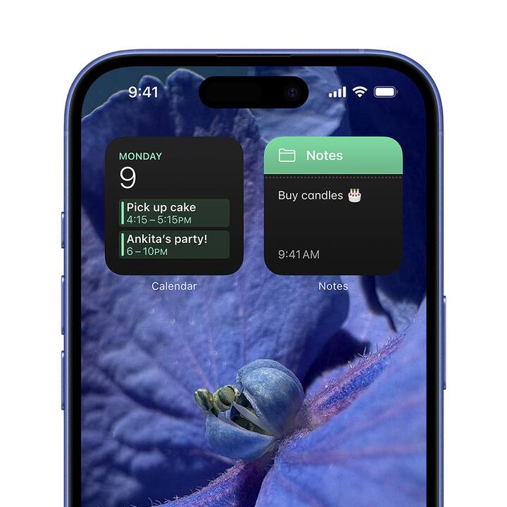 ஐபோன் 16 டிஸ்ப்ளே 6.1 இன்ச் ஆக இருக்க,  ஐபோன் 16 பிளஸ் டிஸ்ப்ளே 6.7 இன்ச் அளவில் வடிவமைக்கப்பட்டுள்ளது.