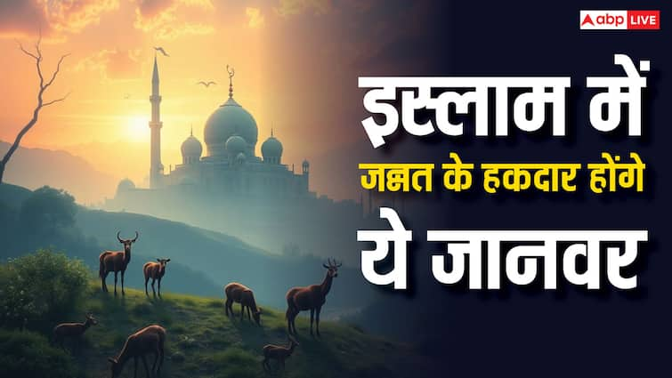 Islam main kaun se janwar jannat jayenge इस्लाम में इंसान के अलावा कौन से जानवर जन्नत में जाएंगे?