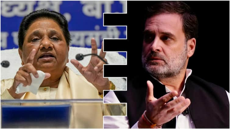 Mayawati Lashes Out At Rahul Gandhi After 'Will Scrap Reservation When...' Comment Mayawati Lashes Out At Rahul Gandhi After 'Will Scrap Reservation When...' Comment