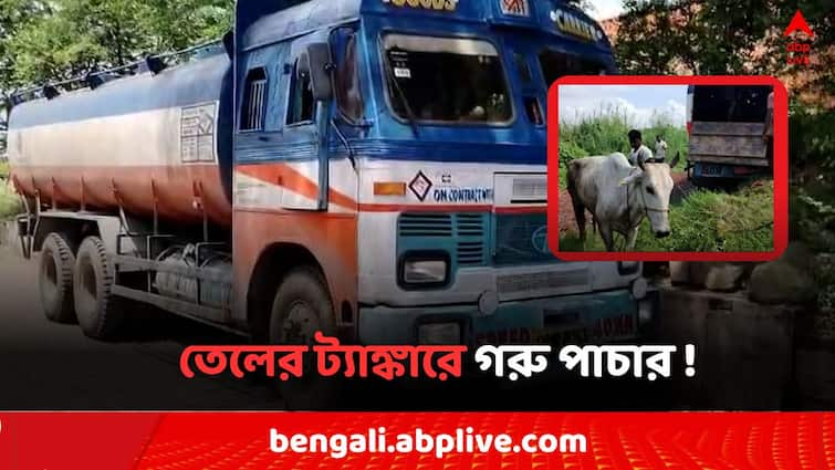 West Midnapore Cattle Smuggling Case Police rescue 25 cow from Oil Tanker in Nanda Kumar Cattle Smuggling: বাইরে থেকে দেখলে রাষ্ট্রায়ত্ত কম্পানির তেলের ট্যাঙ্কার, ভিতরে গরু পাচার !