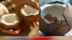 ਕੱਚਾ ਨਾਰੀਅਲ ਤੋੜਨ ਸਮੇਂ ਆ ਜਾਂਦੇ ਪਸੀਨੇ...ਤਾਂ ਪ੍ਰੇਸ਼ਾਨ ਹੋਣ ਦੀ ਤਾਂ ਅਪਣਾਓ ਇਹ ਟ੍ਰਿਕ, ਚੁਟਕੀਆਂ ‘ਚ ਟੁੱਟ ਜਾਏਗਾ