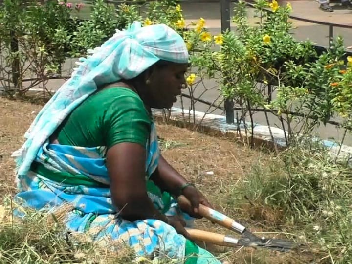 எனக்கு எந்த உதவியும் தேவையில்லை, இதை மட்டும் செய்தால் போதும்... தூய்மை பணியாளரின் எதார்த்த பேச்சு ஆட்சியருக்கு கேட்டுகுமா?