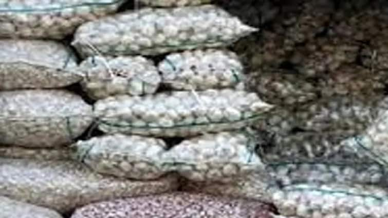 Farmers and traders protest against Chinese garlic import, auctions in market yard closed for three days ચાઇનીઝ લસણનો સૌરાષ્ટ્રમાં ભારે વિરોધ,  વેપારીઓ અને  ખેડૂતોનું પ્રદર્શન,  ત્રણેય યાર્ડમાં  હરાજી બંધનું એલાન