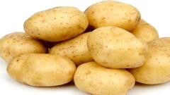 Potato : આ લોકોએ બટાકાનું સેવન ન કરવું જોઈએ, થાય છે આ સમસ્યાઓ