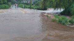 Gujarat Rain: સુરત જિલ્લામાં ધોધમાર વરસાદ, ઉમરપાડામાં બે કલાકમાં સાડા છ ઈંચ વરસાદ ખાબક્યો