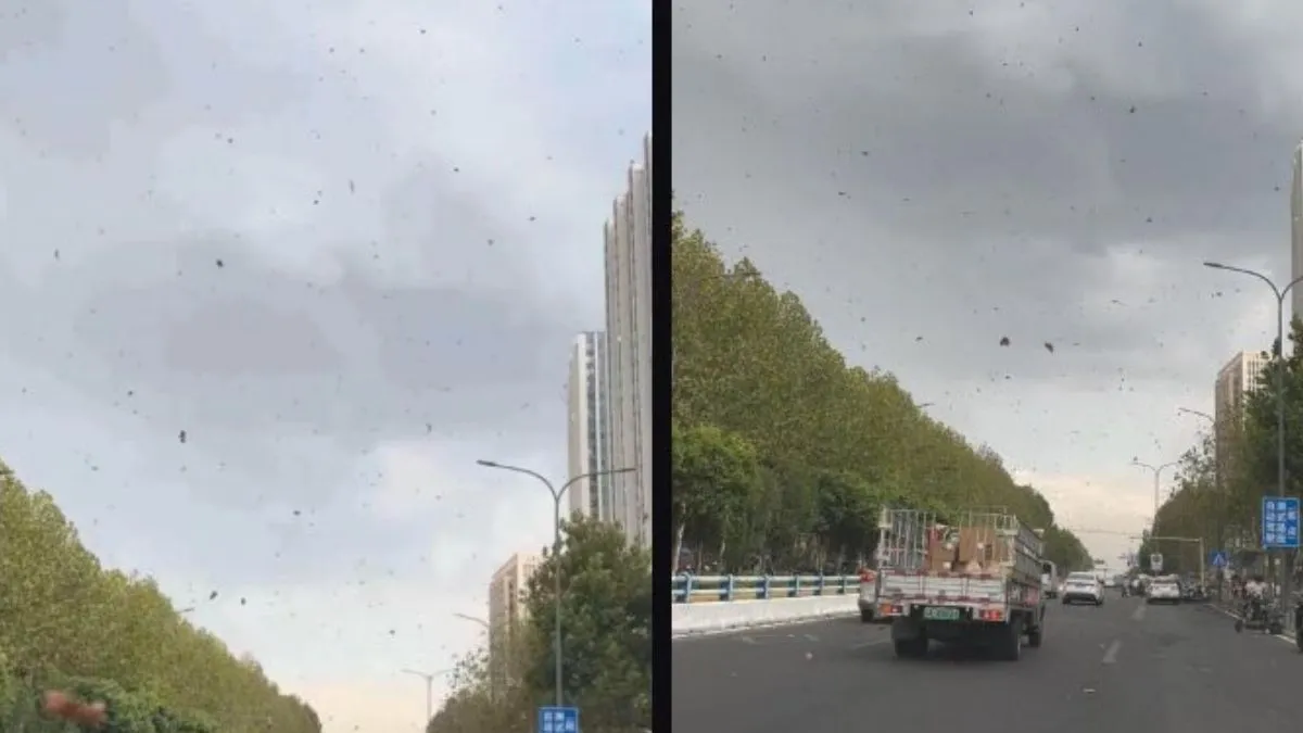 Underwear Crisis: ਜਦੋਂ ਇਸ ਸ਼ਹਿਰ 'ਚ ਅਚਾਨਕ ਸ਼ੁਰੂ ਹੋਇਆ 'ਕੱਛਿਆਂ ਦਾ ਮੀਂਹ', 'ਅੰਡਰਵੇਅਰ ਸੰਕਟ' ਹੋਇਆ ਟ੍ਰੈਂਡ!