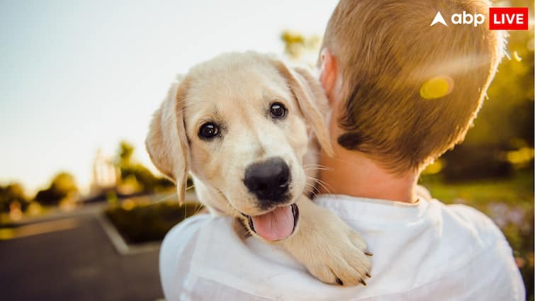 Can you name your property after your pets in India Property laws in India चीन में लोग अपने पालतू जानवरों के नाम कर देते हैं करोड़ों की संपत्ति, क्या भारत में ऐसा कर पाना मुमकिन है?